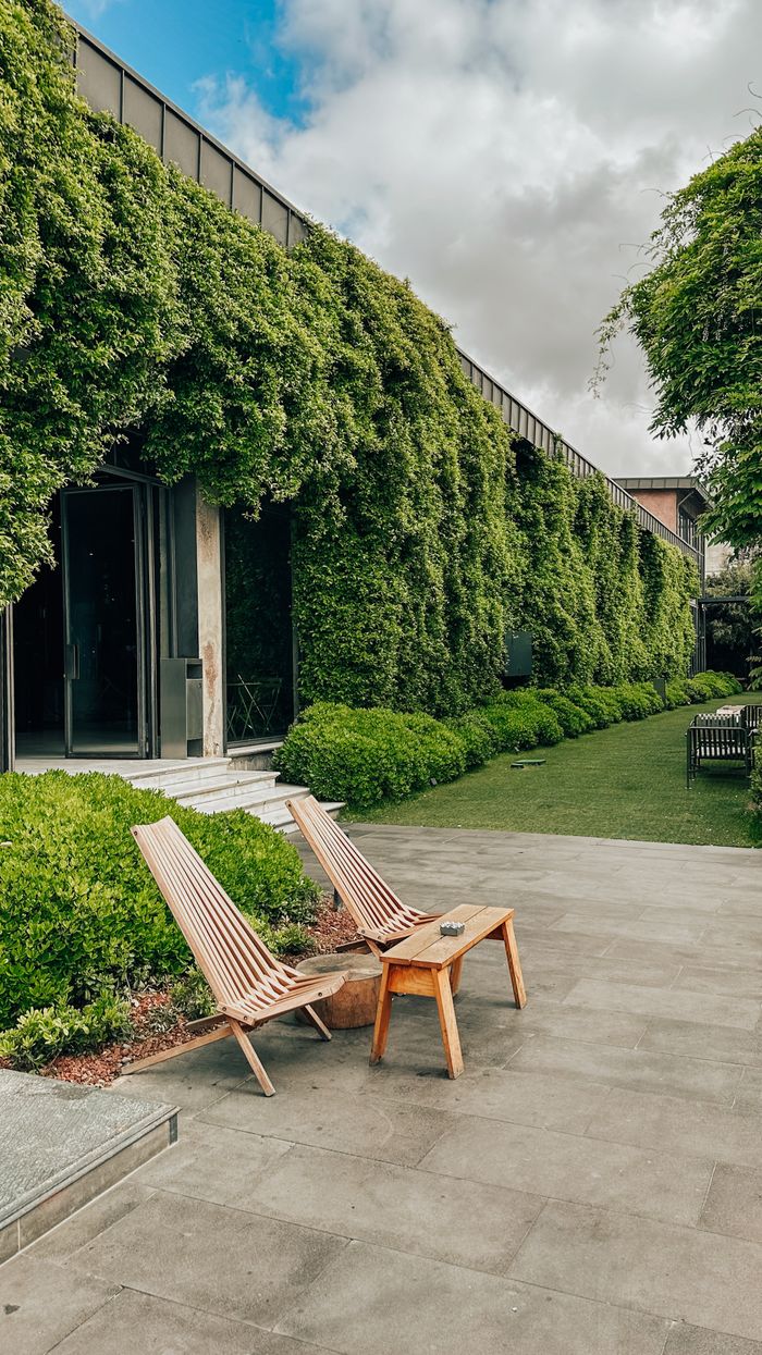 Charming garden terrace with ivy-covered building and wooden deck chairs on a sunny day.